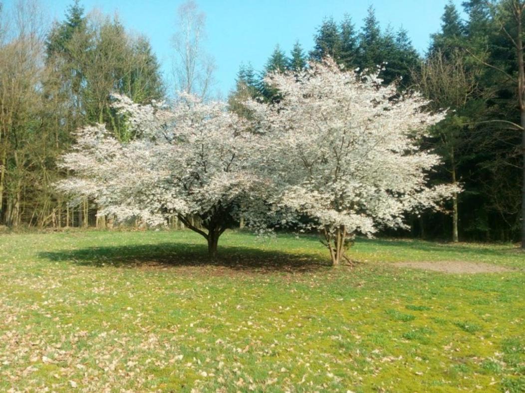 Wiedenborstel Idyl 아파트 외부 사진